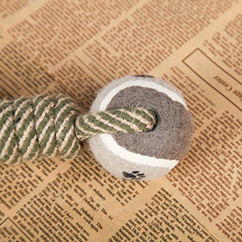 Dog rope dumbbell toy tug-action demonstrating interactive play with owner.