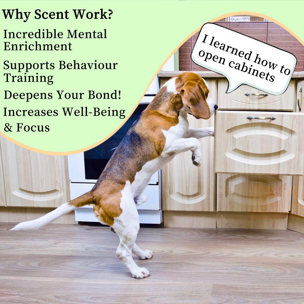 BabieDtOyG scent pouches green pack for scent-based challenges