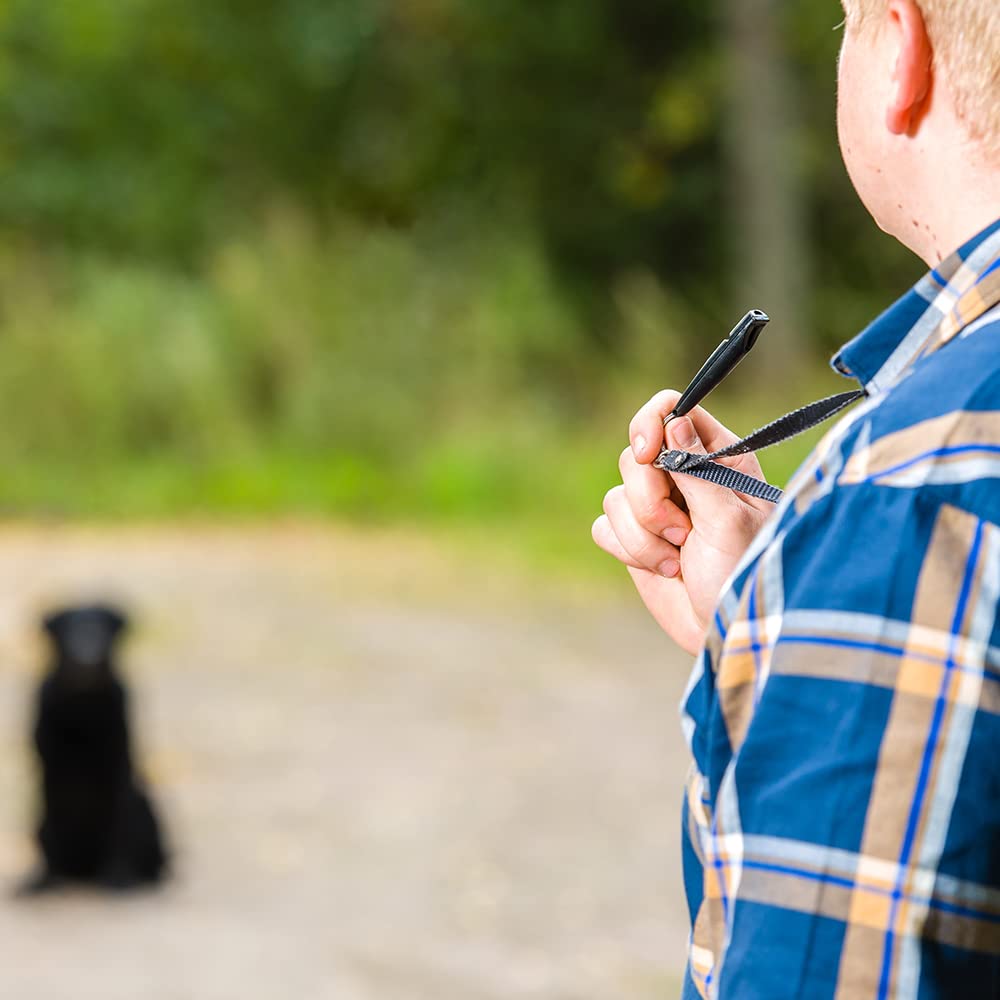 Dog Training Whistles in use during outdoor recall training sessions.