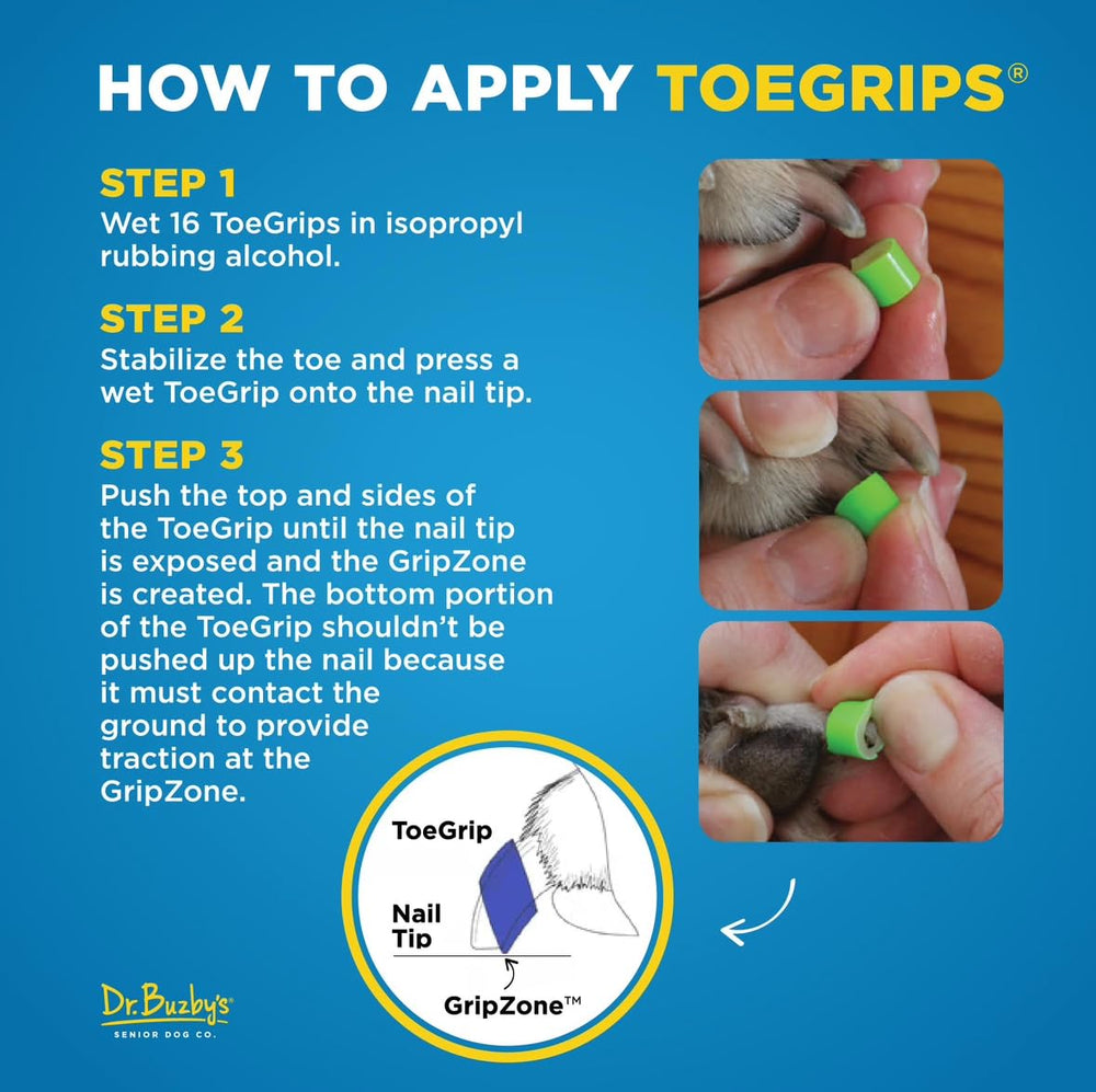 Dog walking with ToeGrips shows improved balance on hardwood