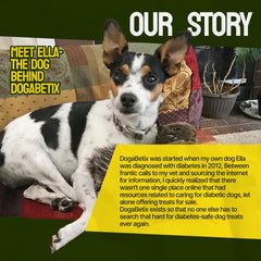 DogaBetix Ella dog enjoying treat during a walk or training session.