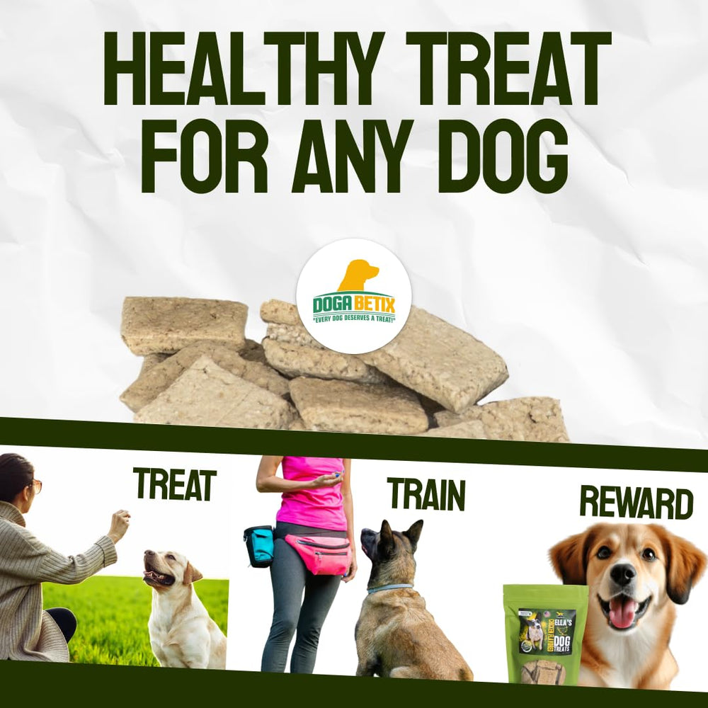 Dog enjoying DogaBetix Ella's treat as a healthy reward.