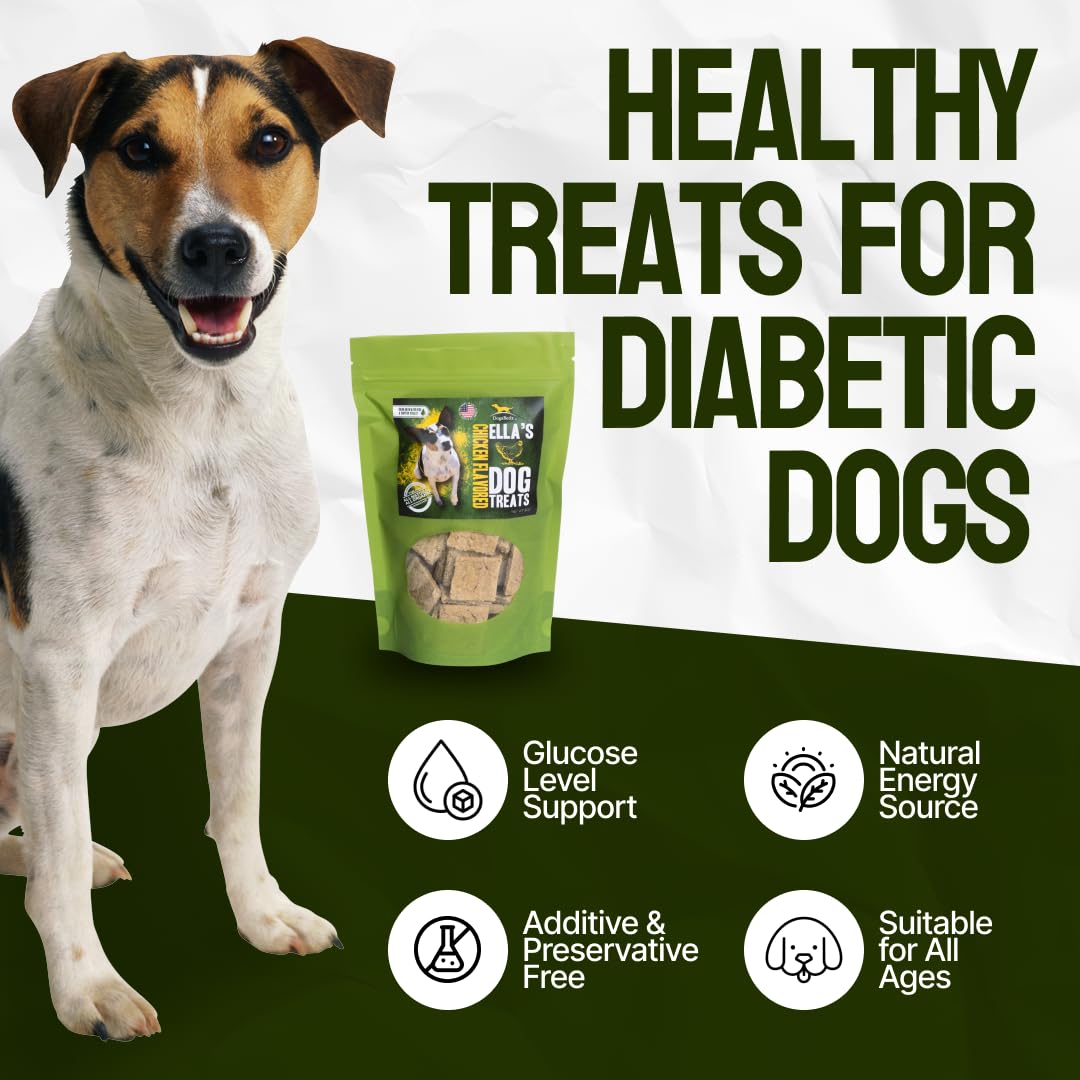 Ideal use of DogaBetix Ella's for diabetic dogs during routine activities.