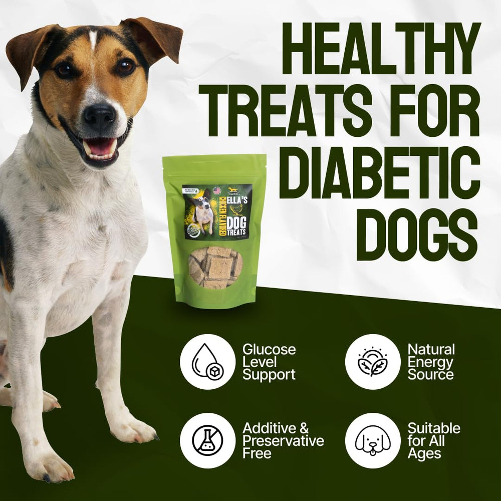 Ideal use of DogaBetix Ella's for diabetic dogs during routine activities.