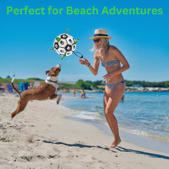DogBall grab tabs enable easy pickup and tugging in interactive games.