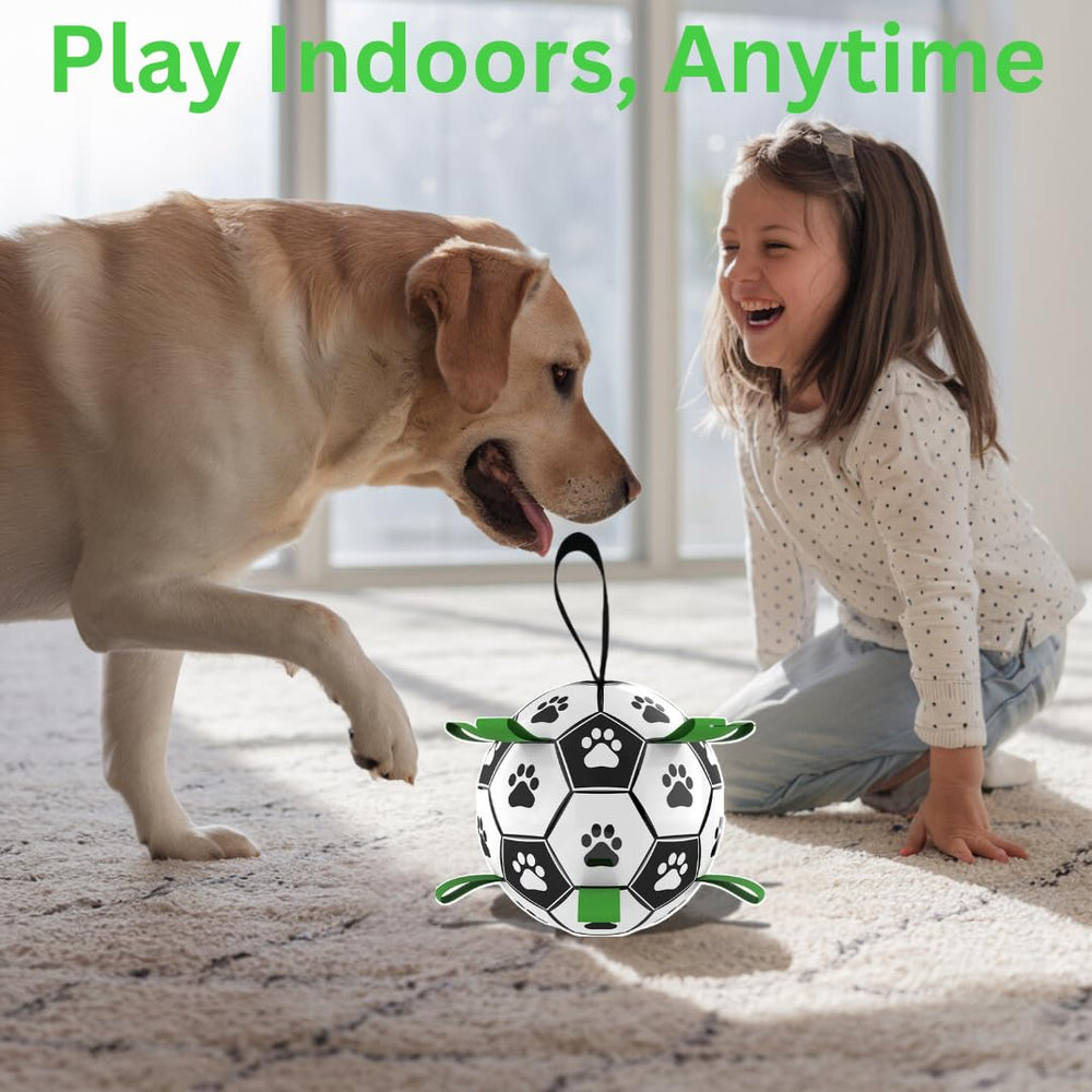 DogBall suitable for indoor and outdoor play across various settings.