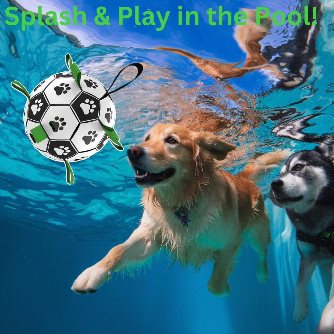 DogBall includes pump and needle adapter for quick inflation before use.