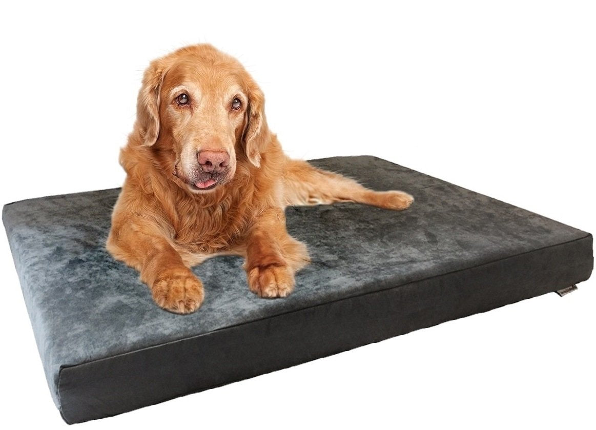 Dogbed4less orthopedic memory foam bed with gray cover offers firm joint support for healthy sleep.