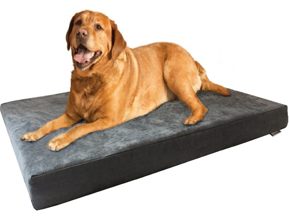 Dogbed4less XL orthopedic memory foam bed cover demonstrates durable comfort.