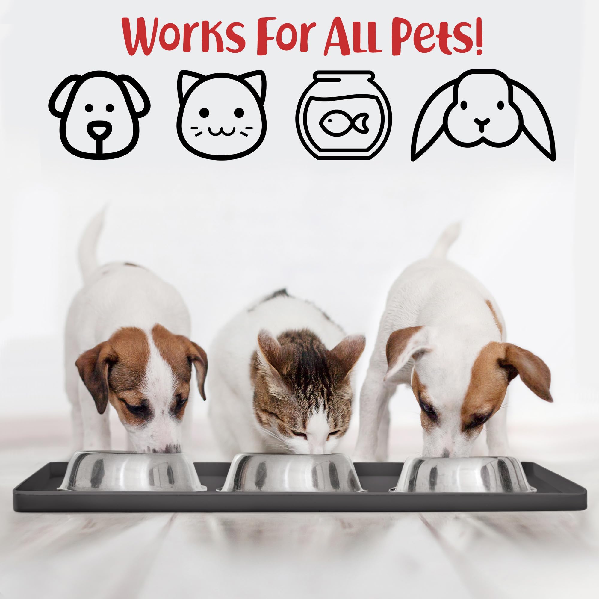 DogBuddy superficie lisa, facilita la limpieza tras las comidas.