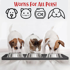 DogBuddy superficie lisa, facilita la limpieza tras las comidas.