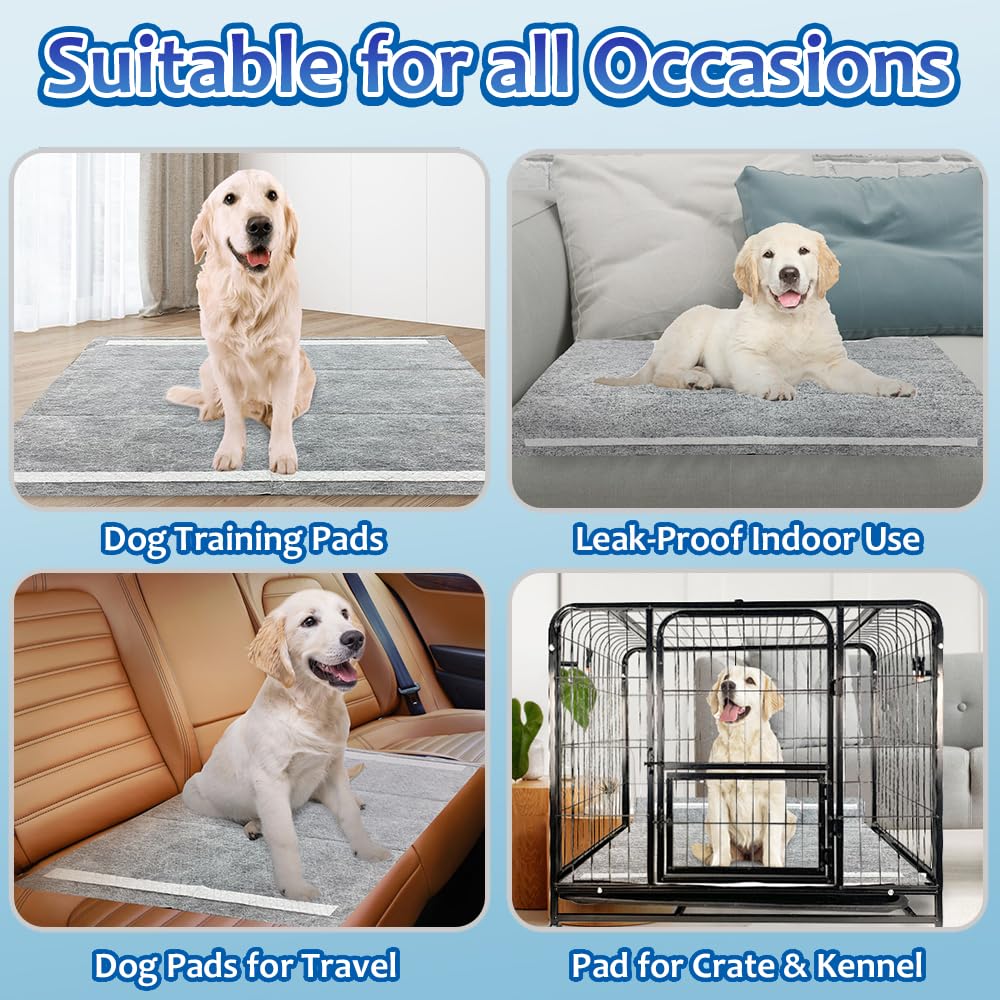 Dogcator Charcoal Puppy Pads in kennels for potty training sessions