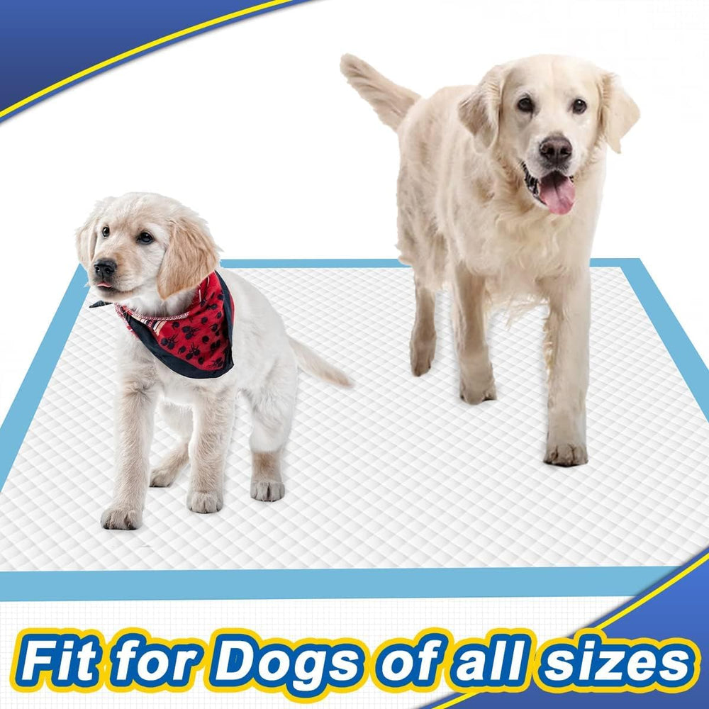 Dogcator 30-count bundle image highlights value and training-ready solution