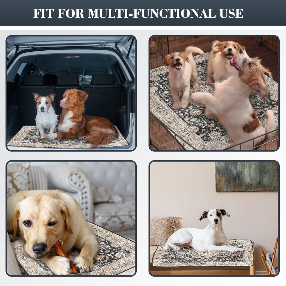 Dogcator machine-washable pad simplifies cleanup after messes.
