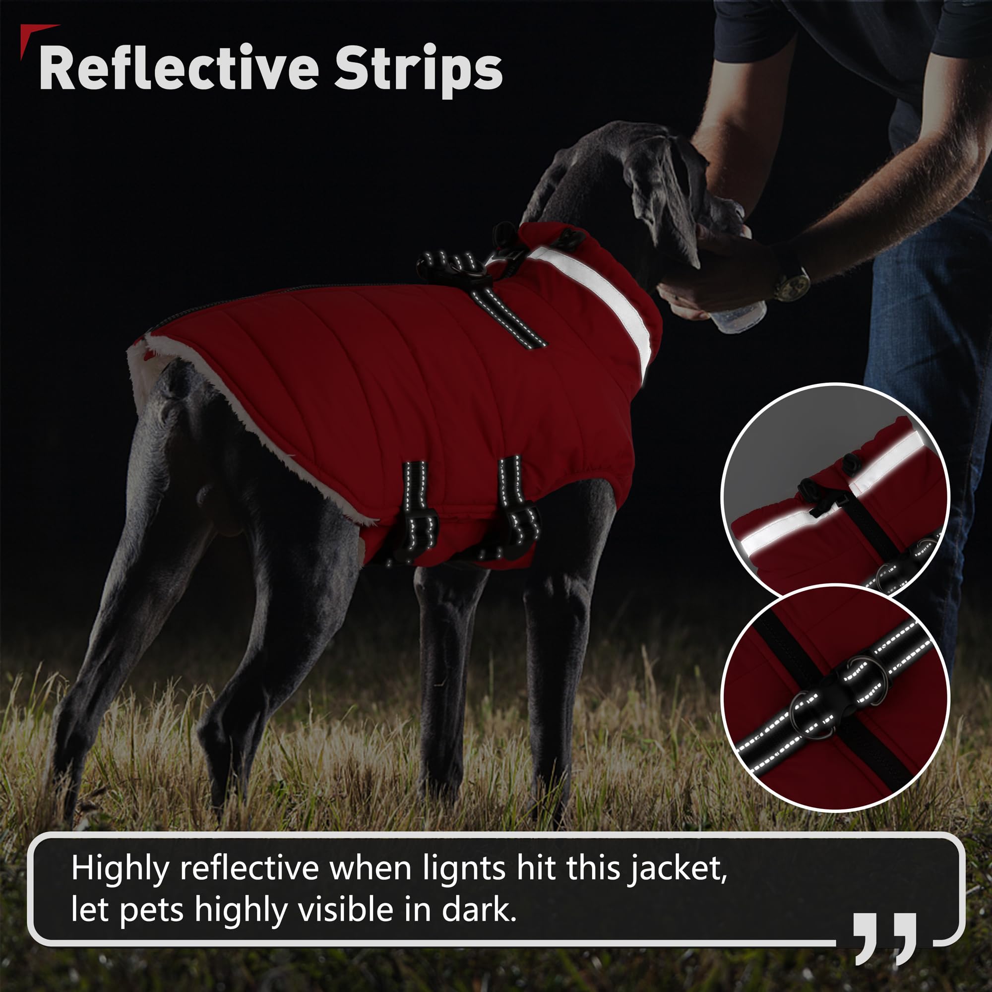 Dogcheer adjustable straps help achieve a comfortable, snug fit for different body shapes.