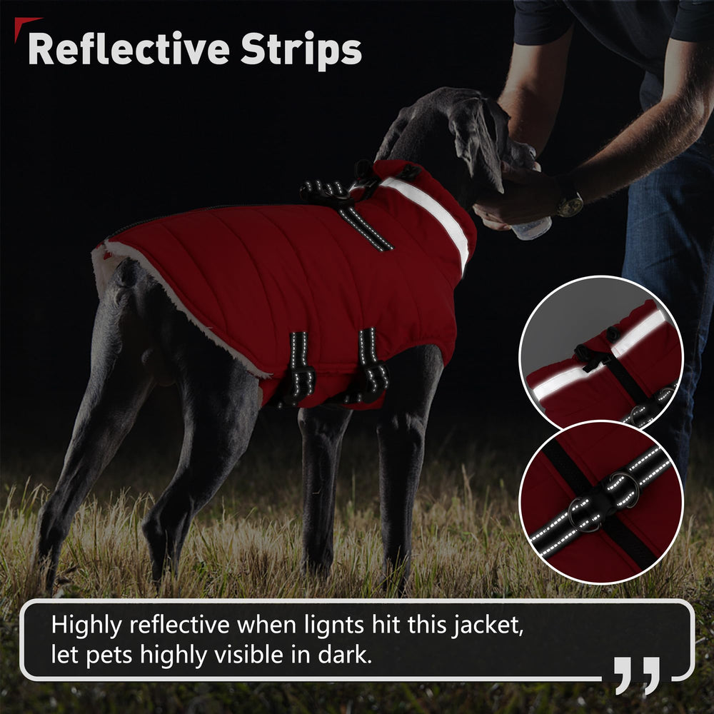 Dogcheer adjustable straps help achieve a comfortable, snug fit for different body shapes.