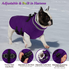 Dogcheer adjustable strap back view highlights customizable fit across chest sizes.