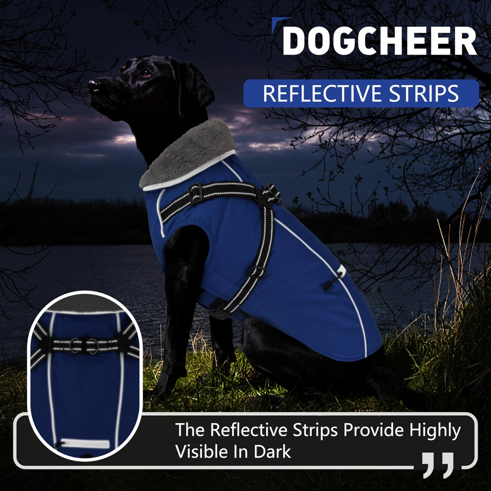 Dogcheer back-pocket design adds space for bags and keys on walks.