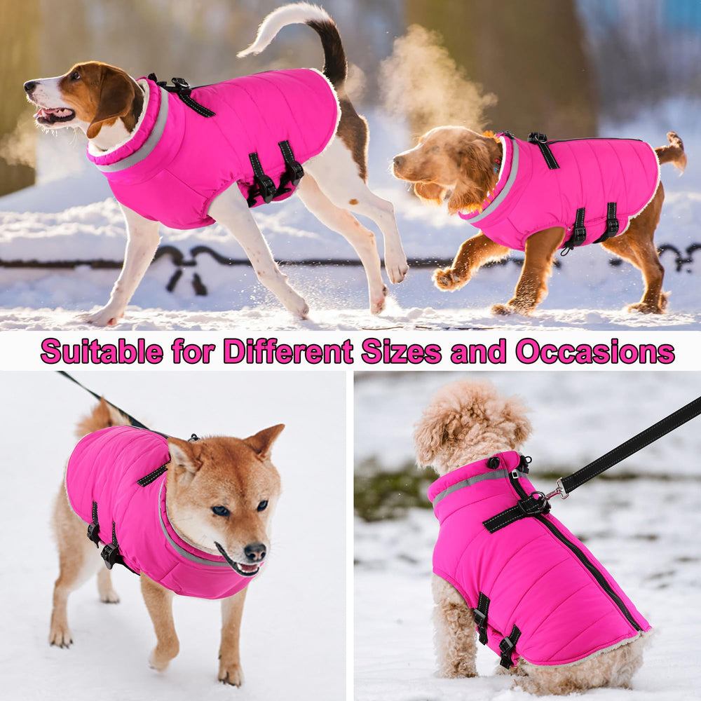 Dogcheer back zipper pink coat enables easy on and off.
