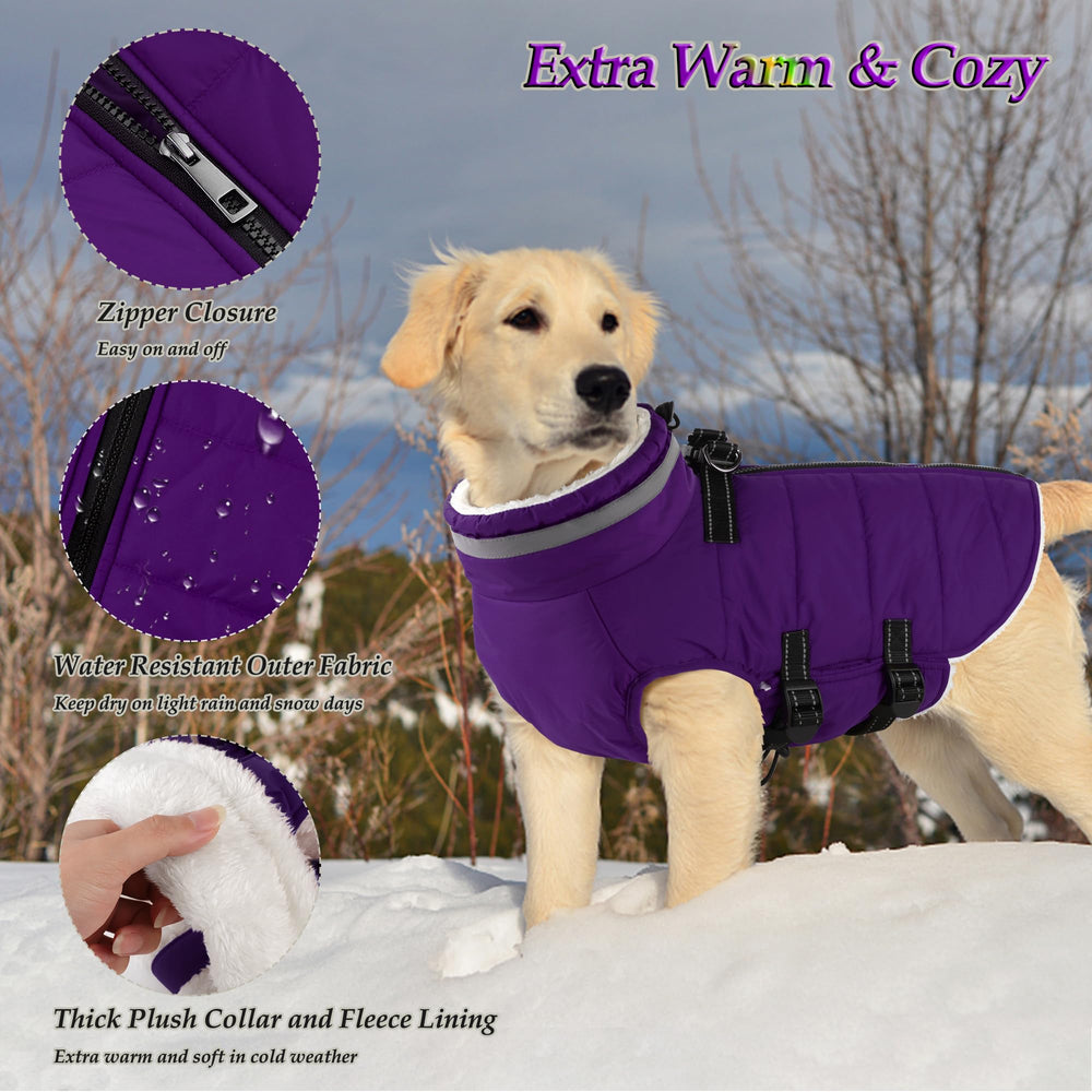 Dogcheer back zipper integrated harness shot demonstrates quick and secure on-the-go dressing.