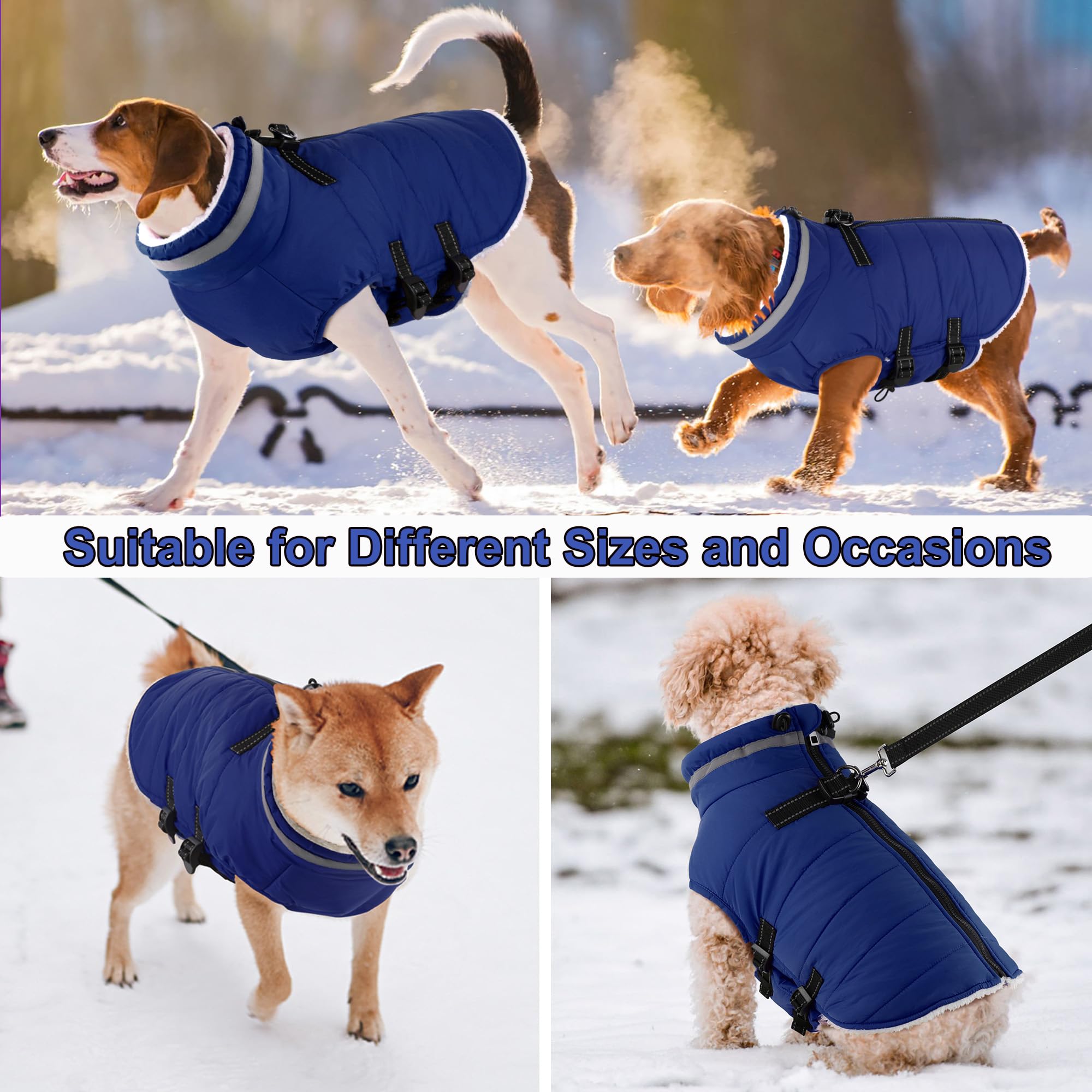 Dogcheer Christmas snow jacket ready for festive outdoor adventures.