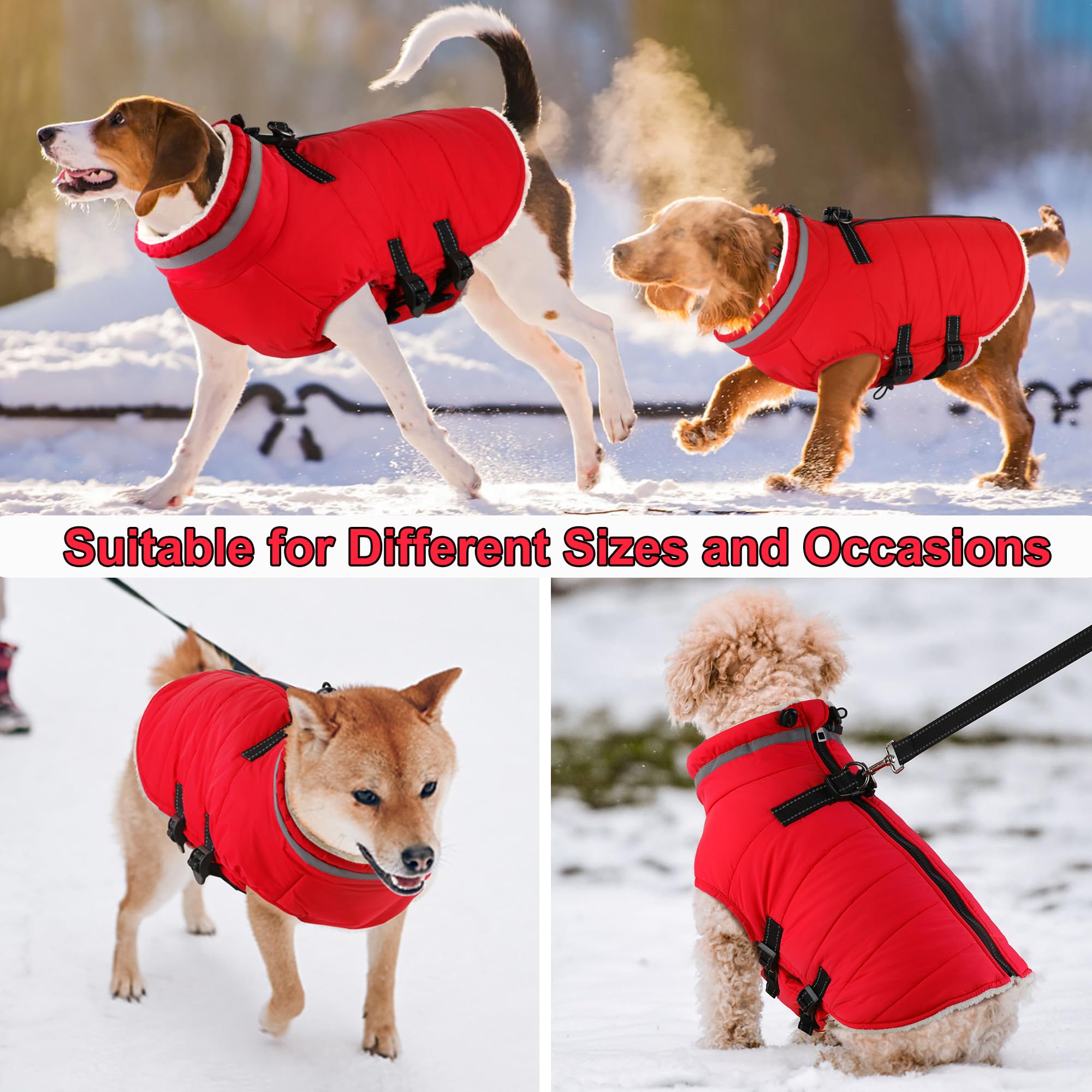Dogcheer integrated harness saves time with a convenient all-in-one coat