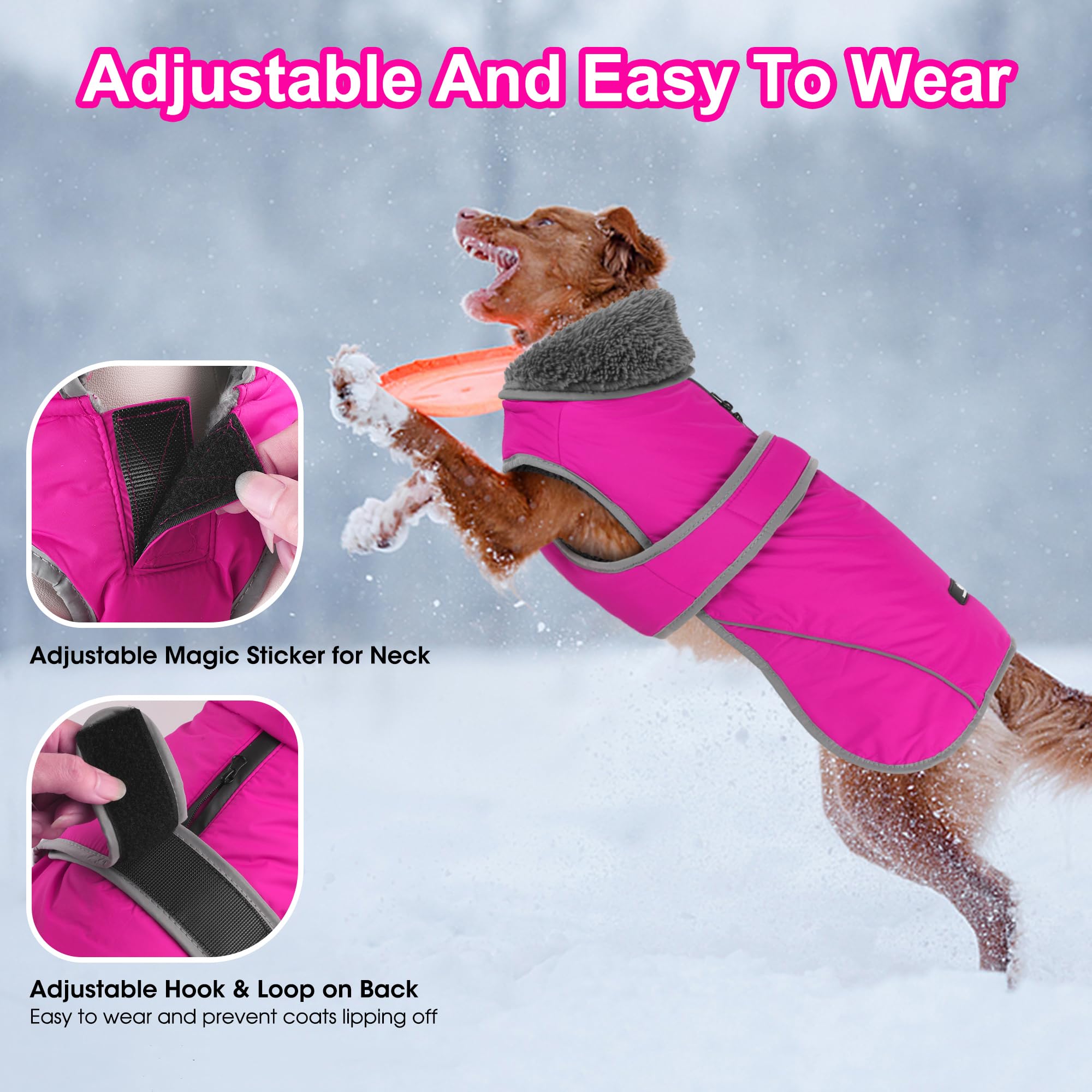 Dogcheer dog coat reflective strips for safer night walks