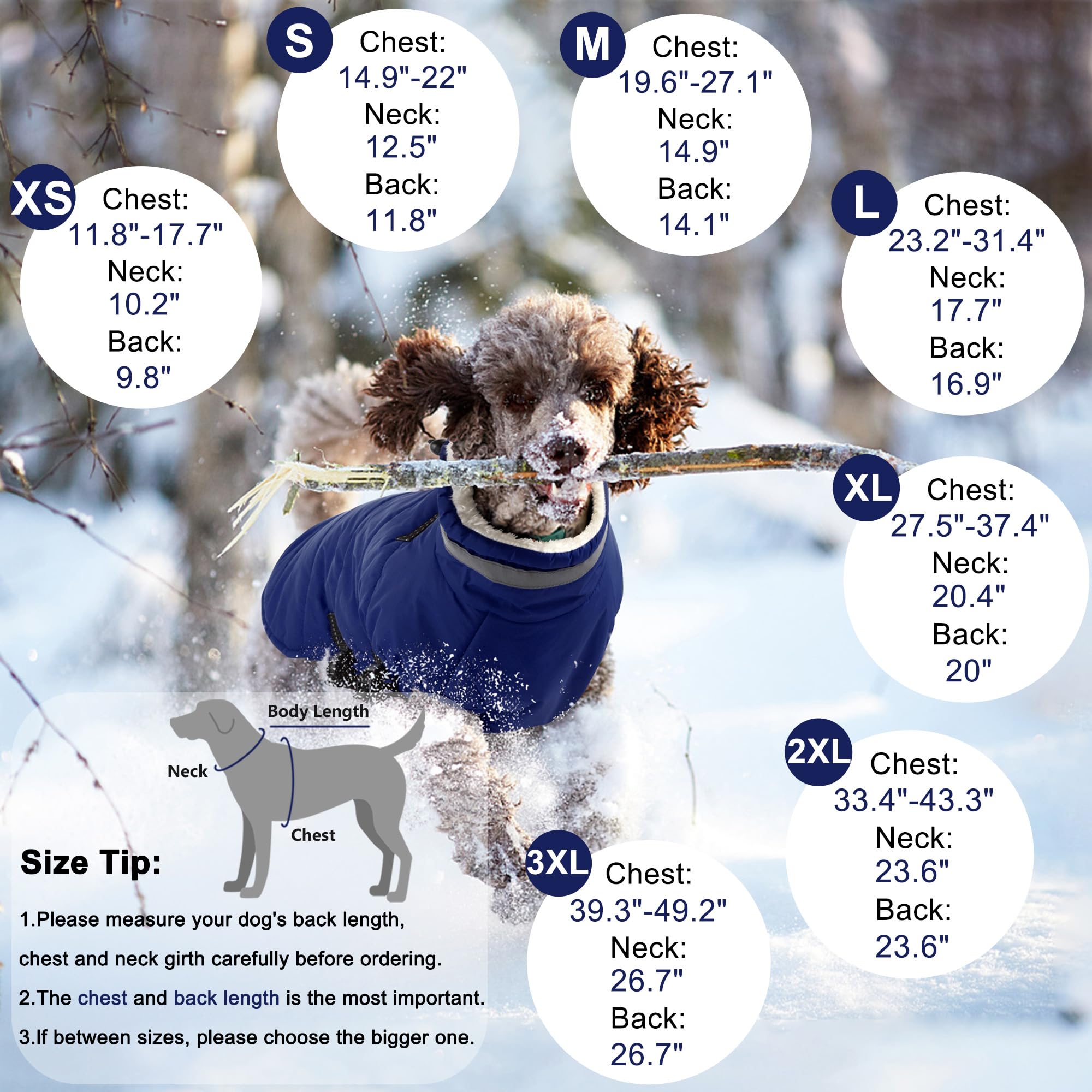 Dogcheer dog jacket back zipper detail for quick on/off in cold weather.