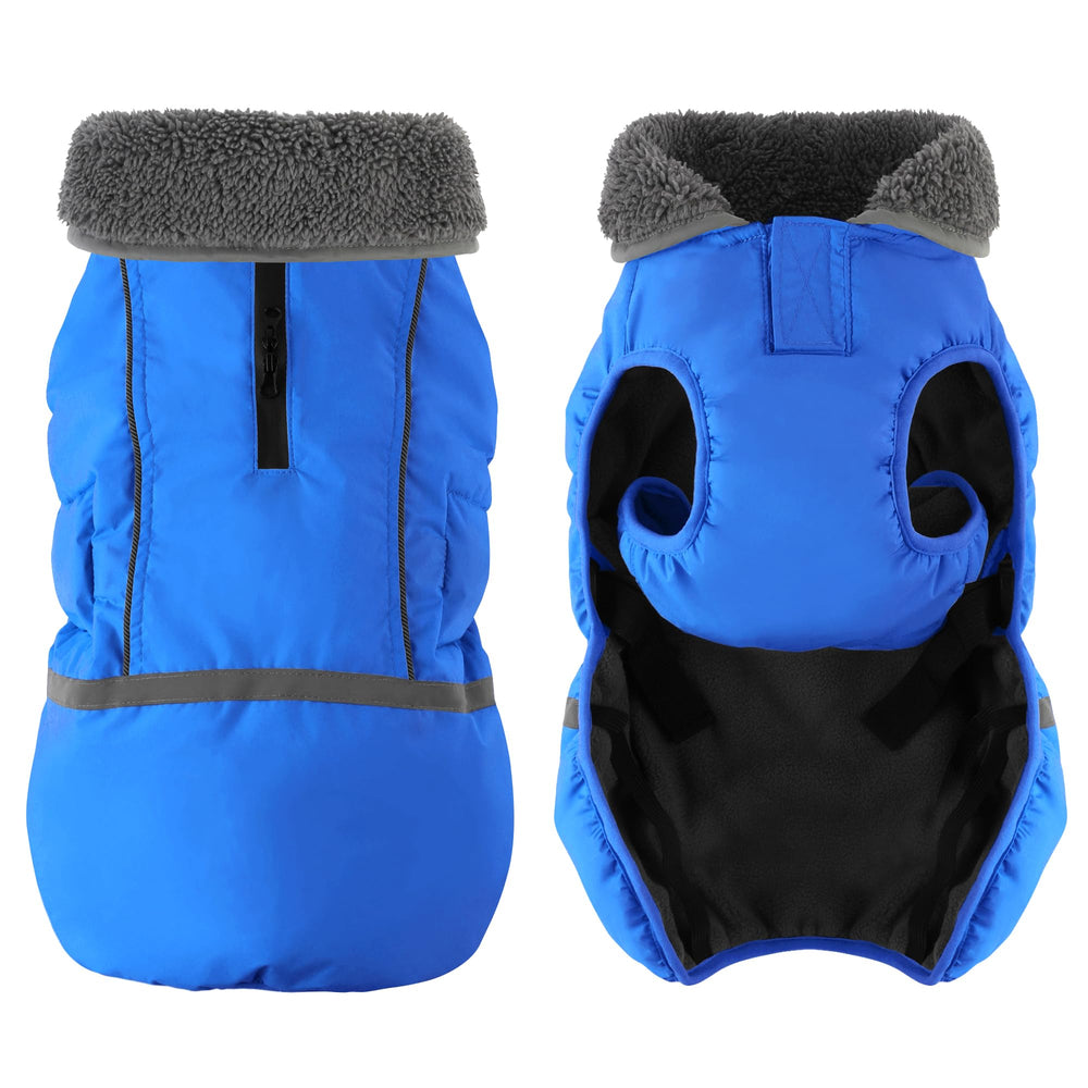 Dogcheer dog wearing winter coat in blue during cold adventures.