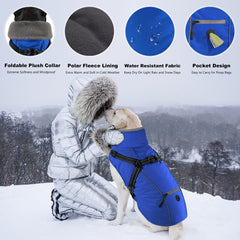 Dogcheer dual-leash harness coat enables secure control without extra attachments.