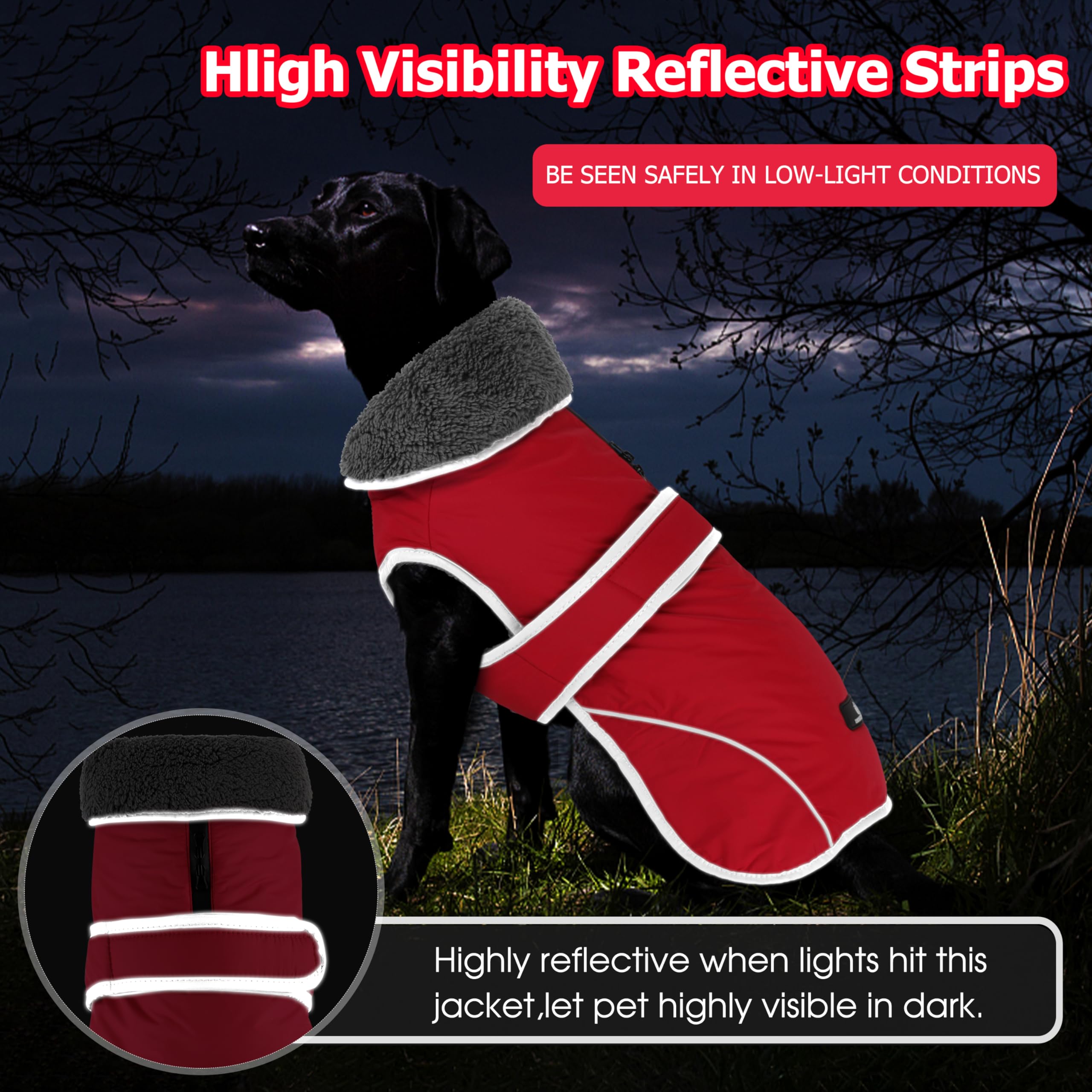 Dogcheer easy-on-off design accommodates bathroom breaks