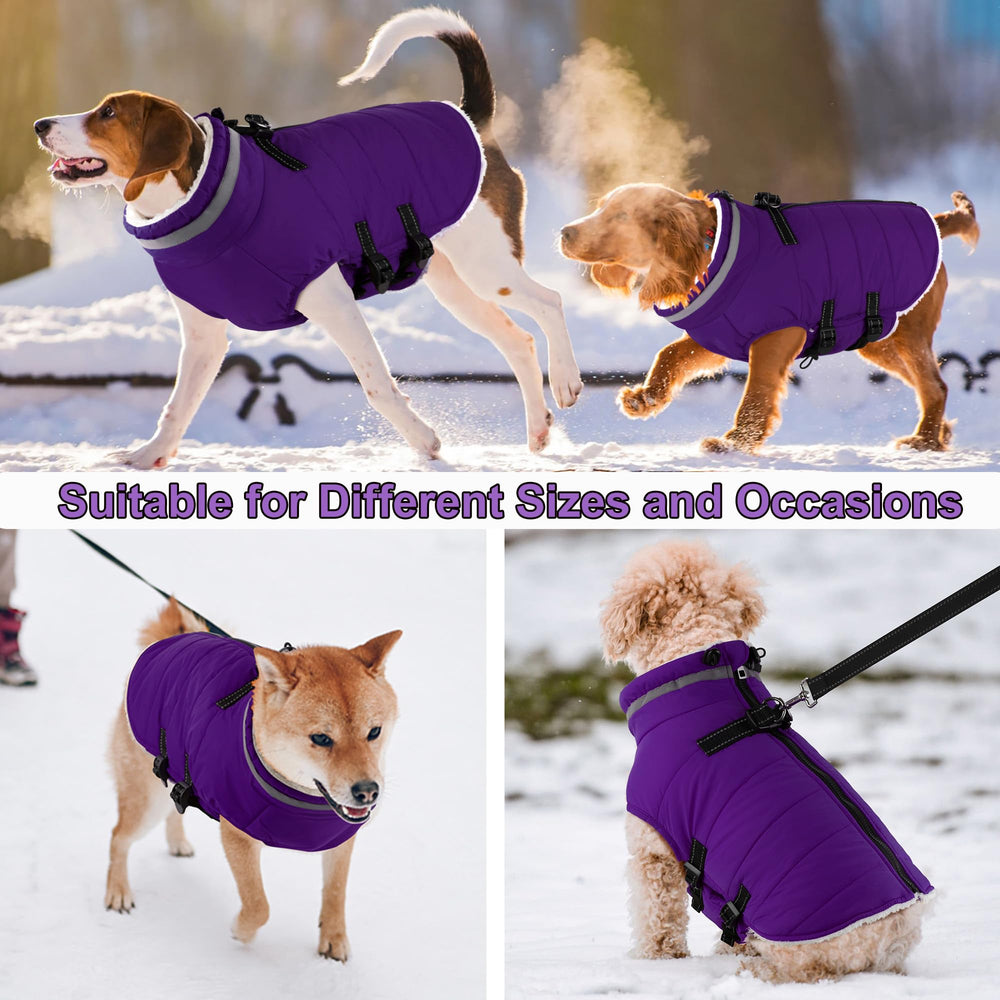 Dogcheer machine washable winter coat ready for easy cleaning after outdoor adventures.
