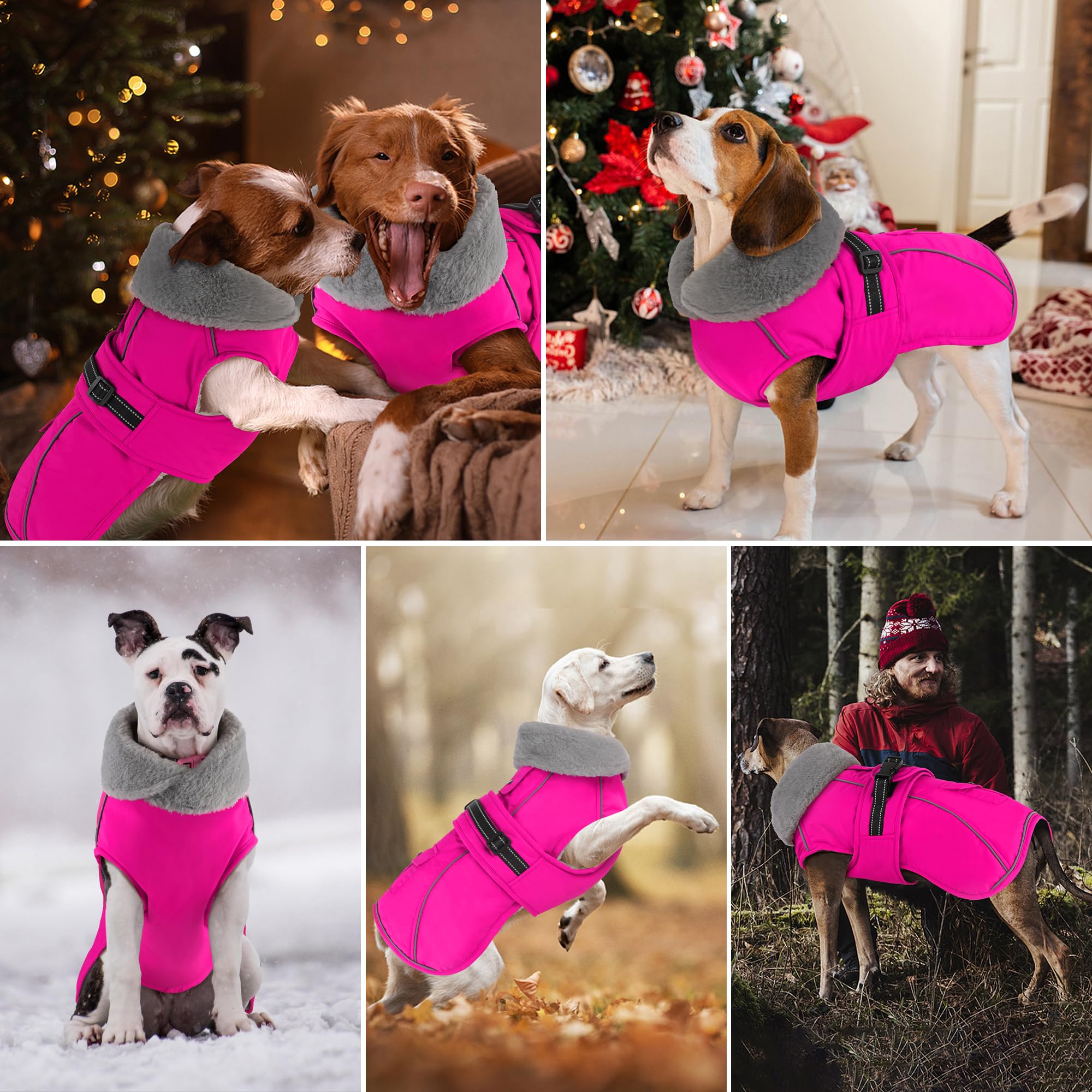 Dogcheer pocket-back design dog coat offers hands-free convenience on outdoor activities.