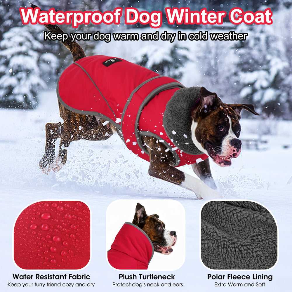 Dogcheer reflective dog jacket at dusk for safer nighttime visibility