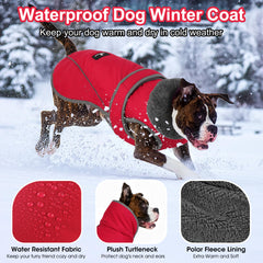 Dogcheer reflective dog jacket at dusk for safer nighttime visibility