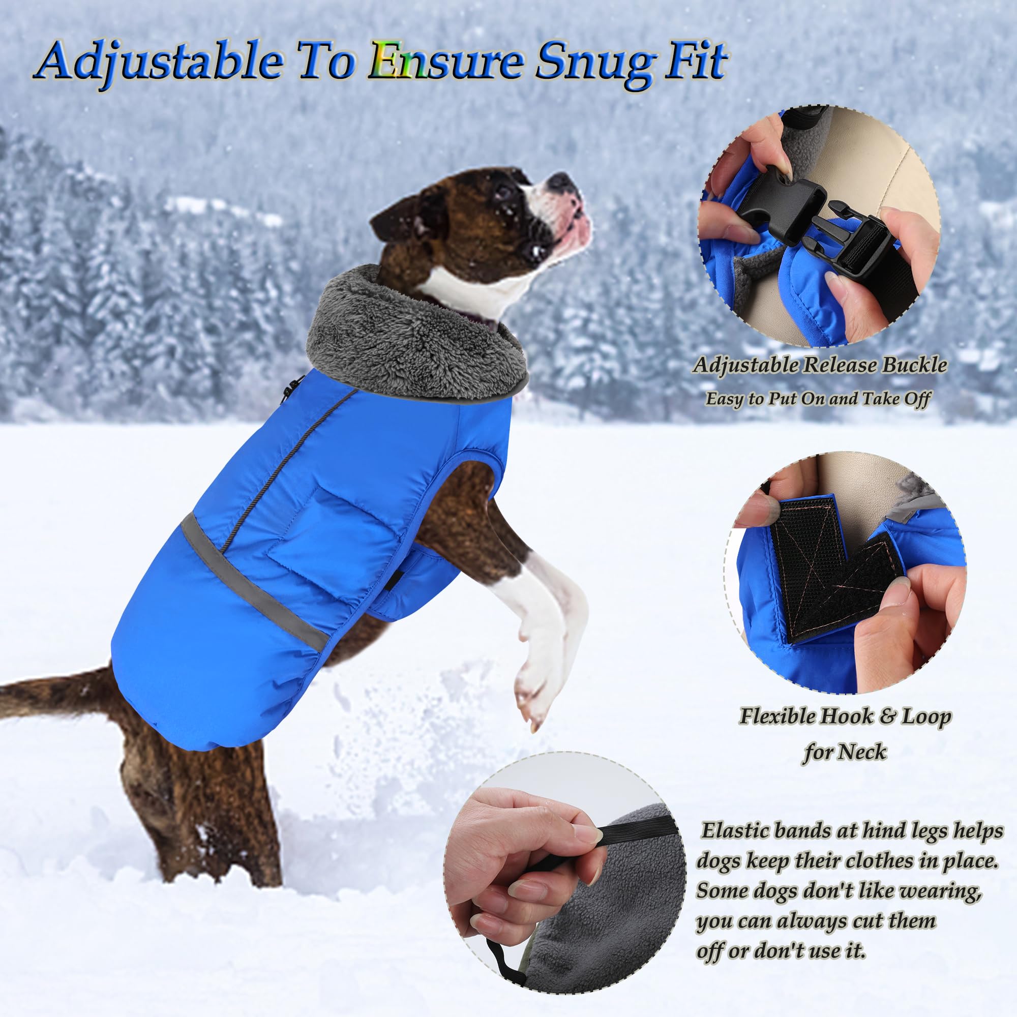 Dogcheer reflective strip back view in blue enhances night visibility.
