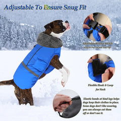Dogcheer reflective strip back view in blue enhances night visibility.