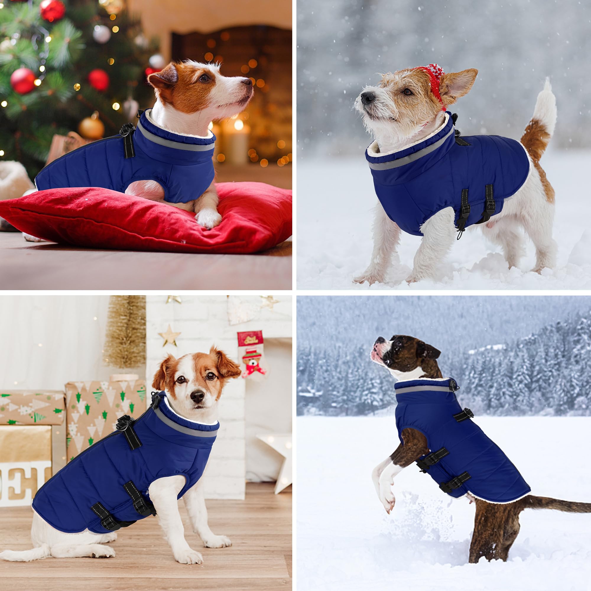 Dogcheer reflective strips boost visibility for safe night walks.