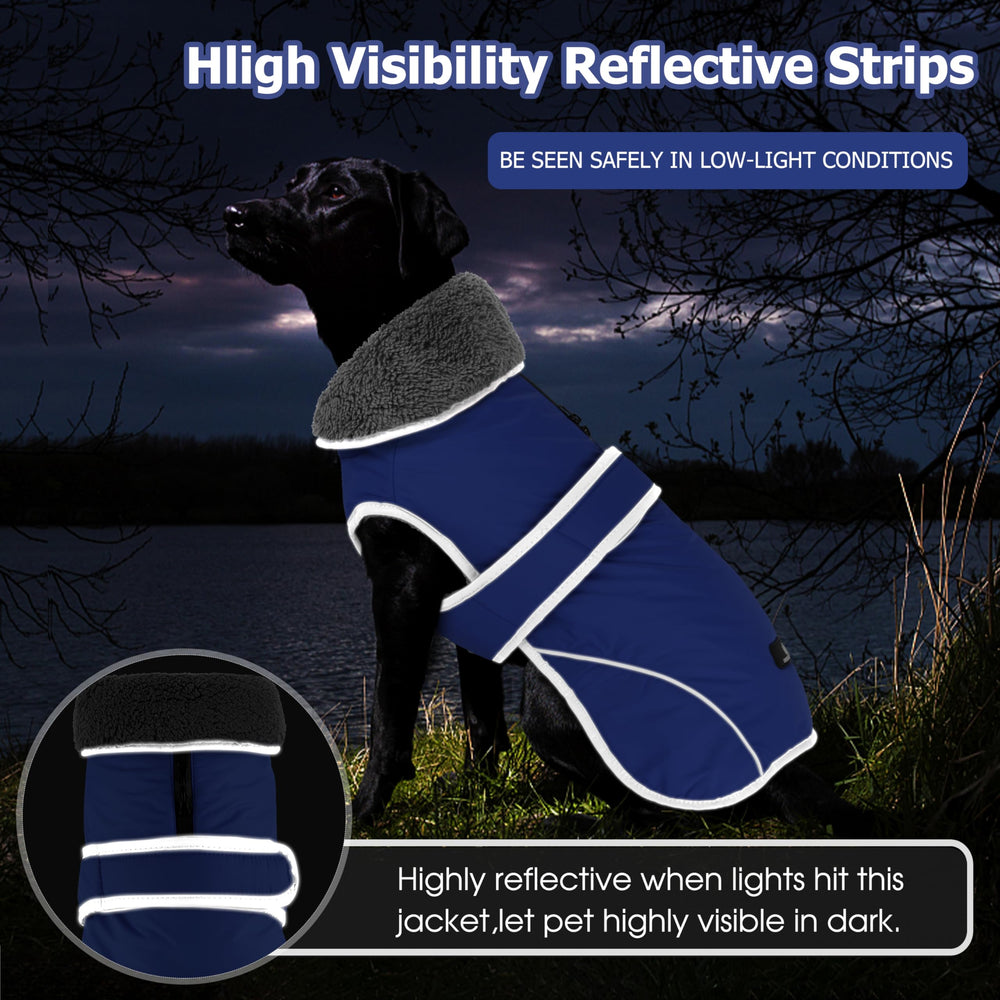 Dogcheer reflective strips enhance visibility during night walks