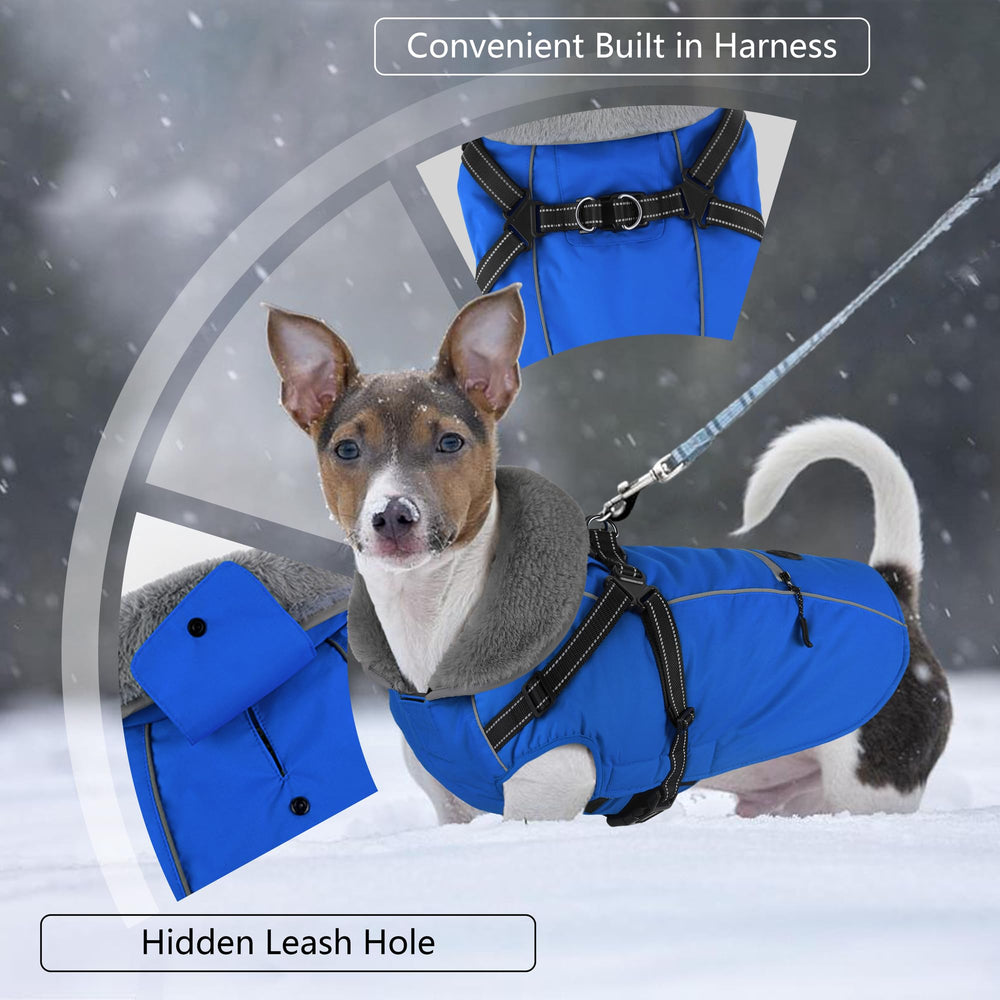 Dogcheer reflective winter jacket in night lighting boosts visibility during evening strolls.