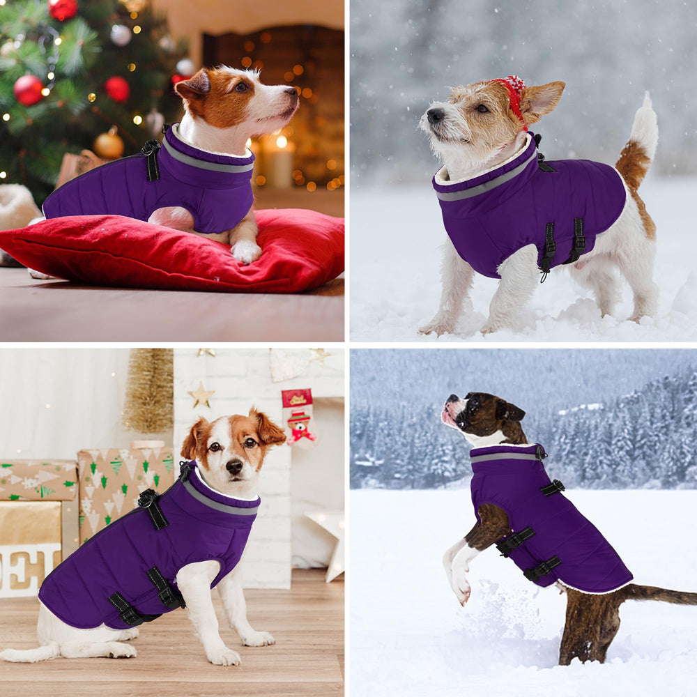 Dogcheer size-adjustable design helps achieve secure fit across sizes.
