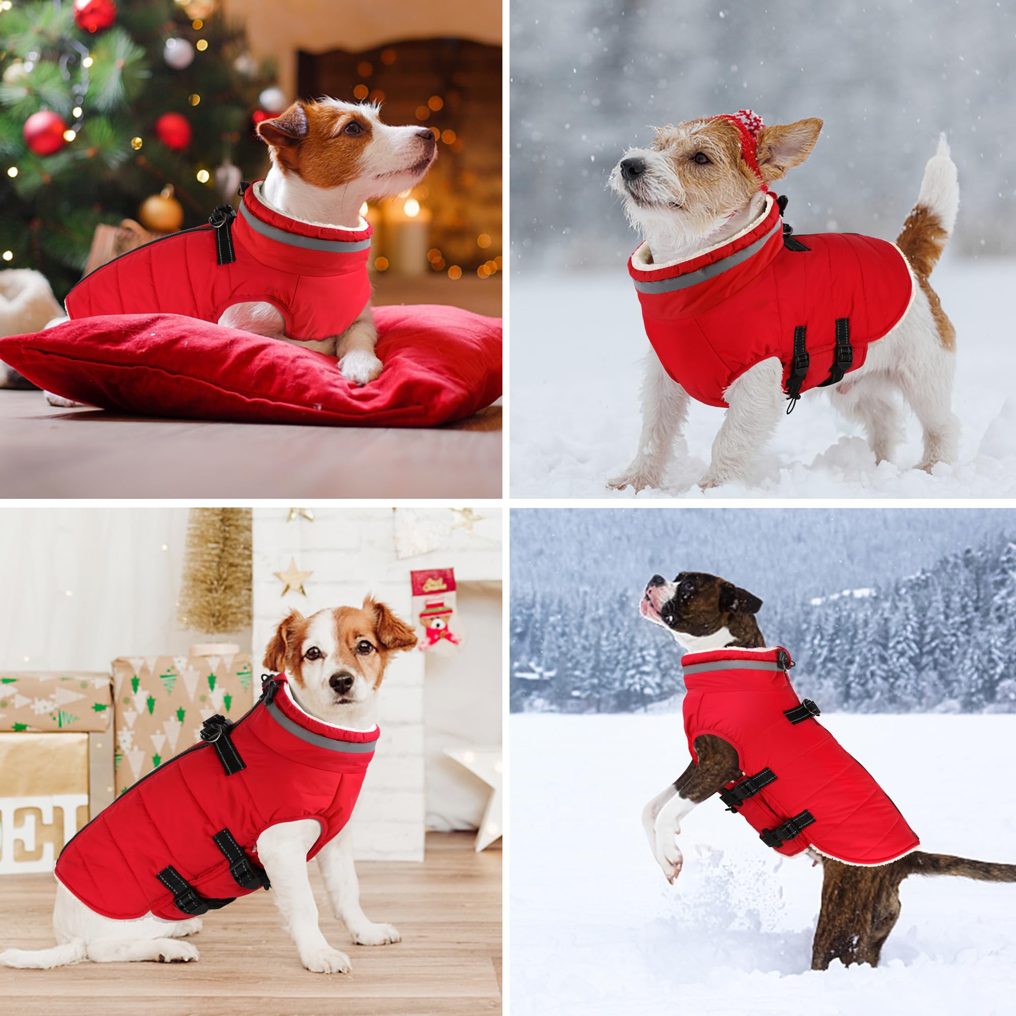 Dogcheer size guide emphasizes chest measurement to help find the proper fit.