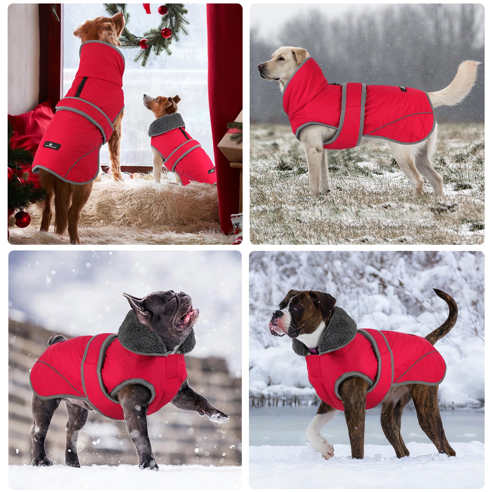 Dogcheer size-guide-friendly coat fits small to large dogs for daily wear