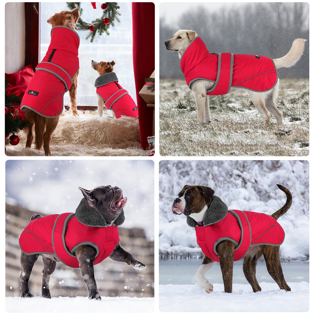 Dogcheer size-guide-friendly coat fits small to large dogs for daily wear