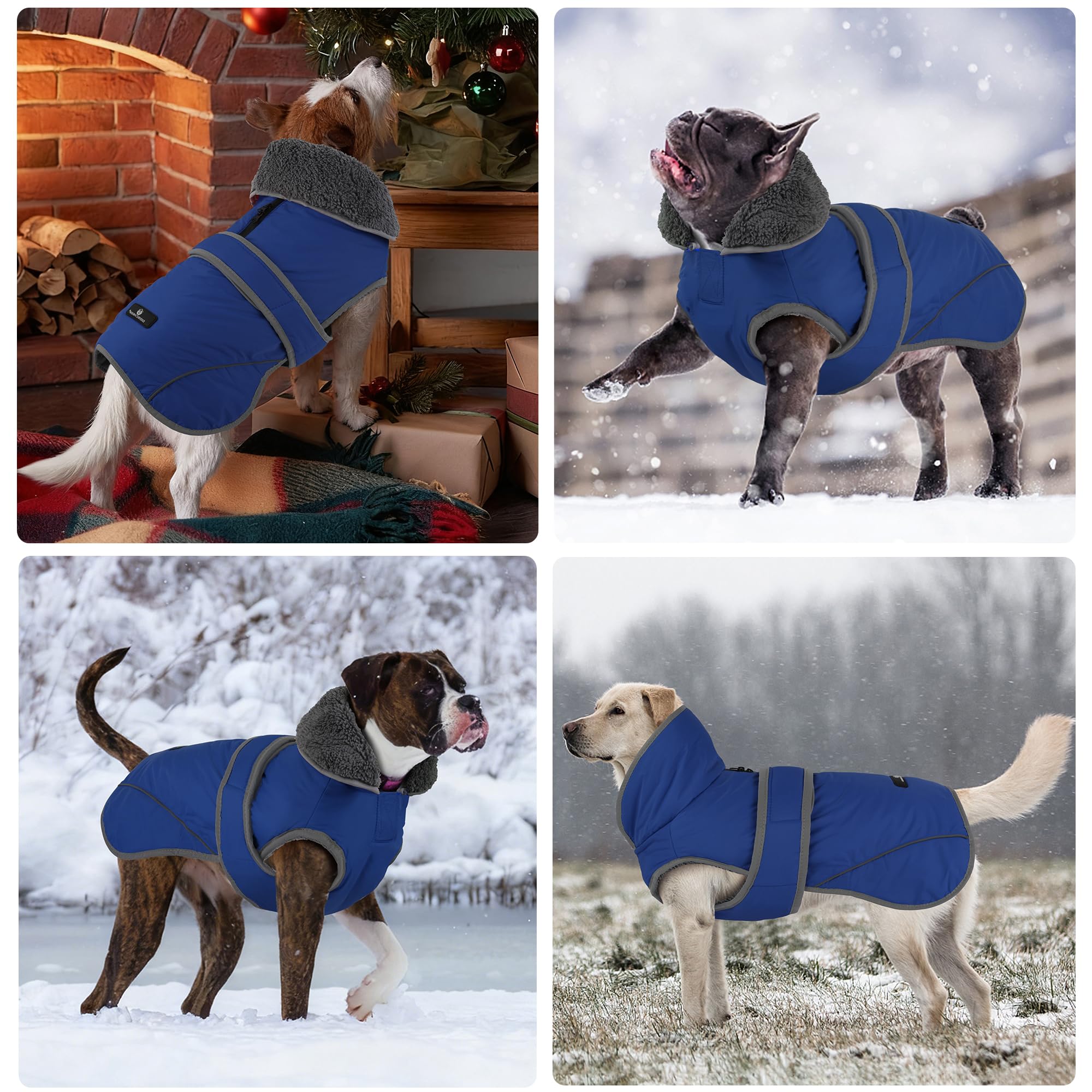 Dogcheer size measure guide helps find the right chest and back fit
