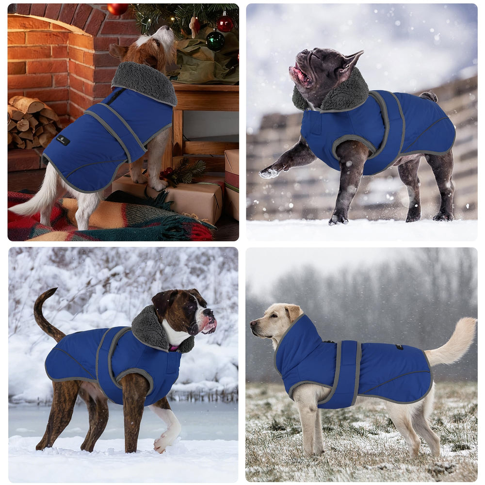 Dogcheer size measure guide helps find the right chest and back fit