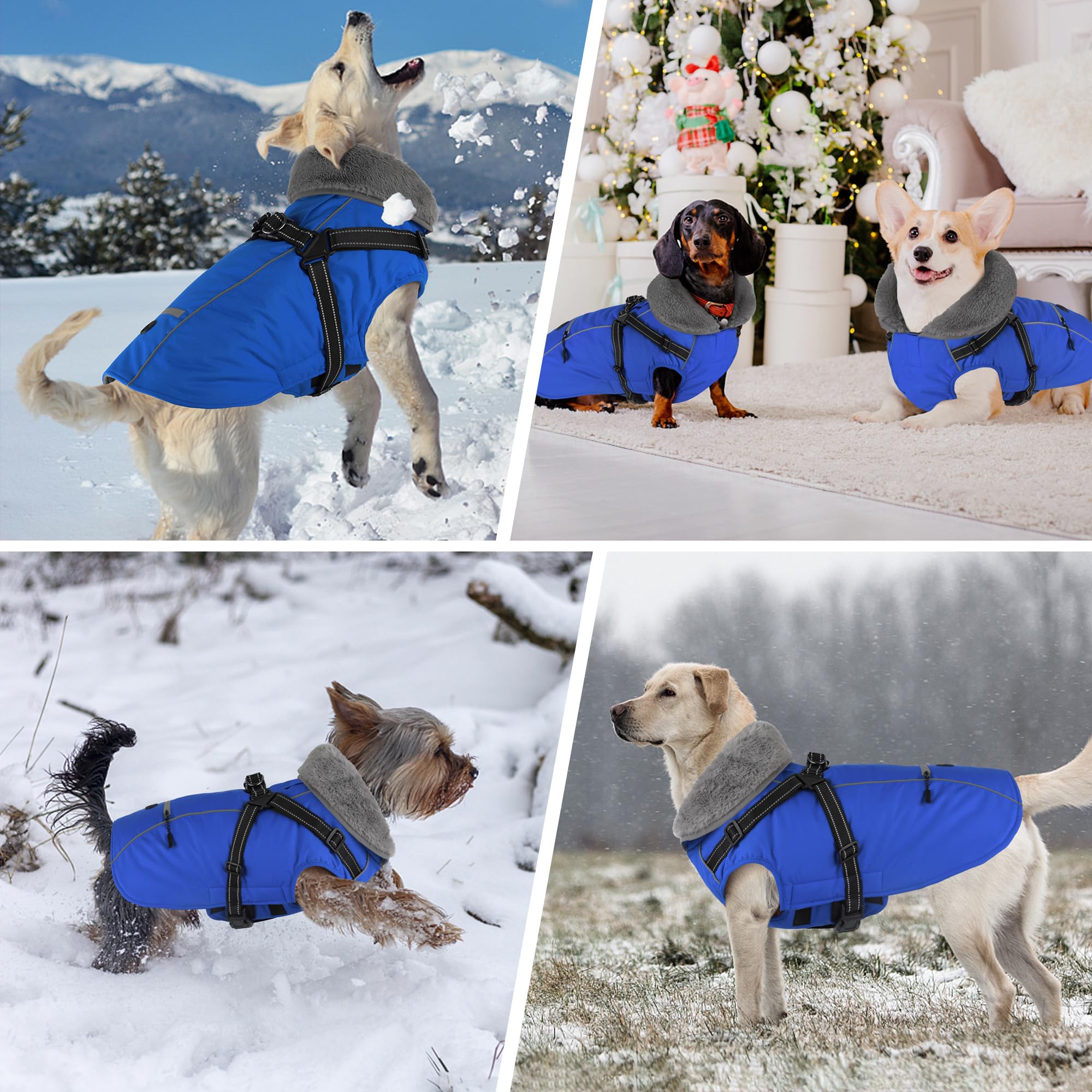 Dogcheer thick fleece collar interior provides cozy warmth for cold-weather outings.