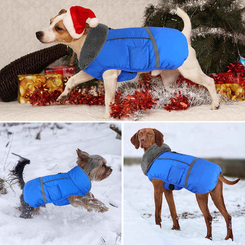 Dogcheer turtleneck fleece inside blue extra warmth and neck coverage.