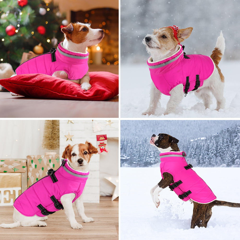 Dogcheer turtleneck pink coat provides neck warmth in cold weather.