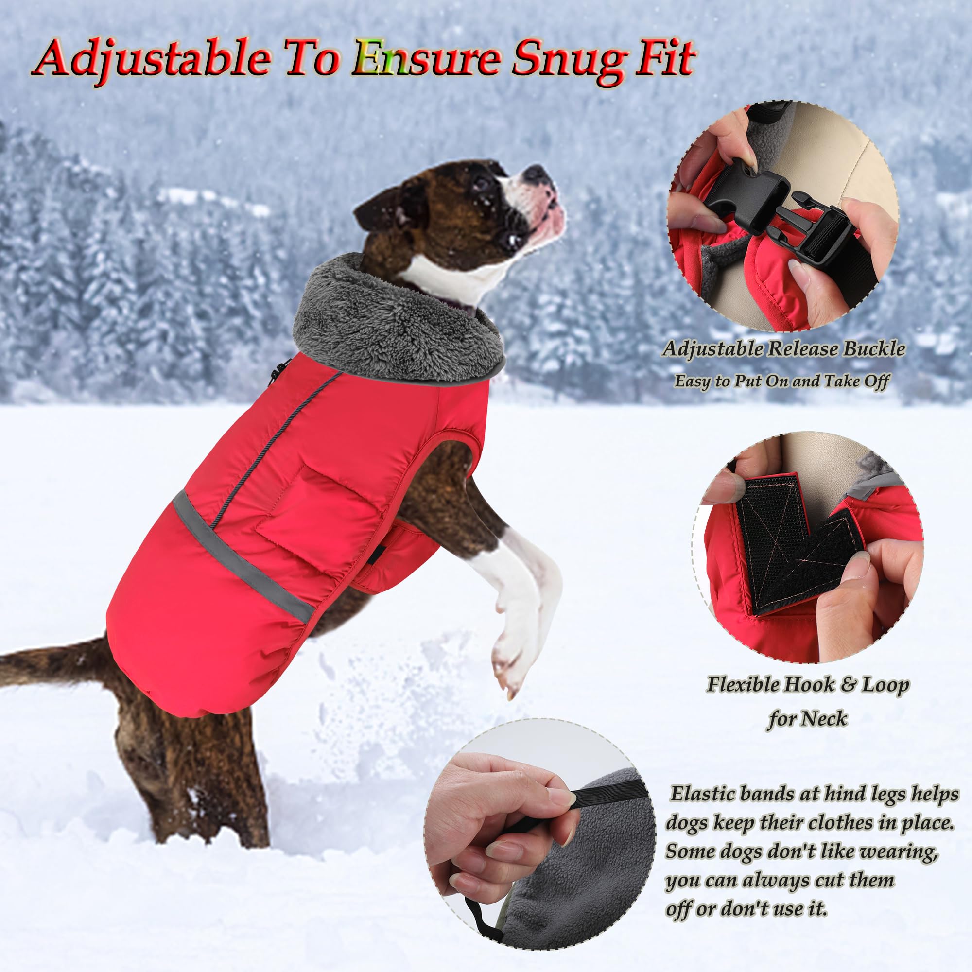 Dogcheer warm dog coat leash attachment demonstrates easy walking setup